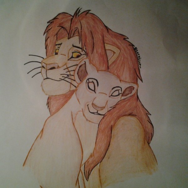 Симба и Нала для срисовки