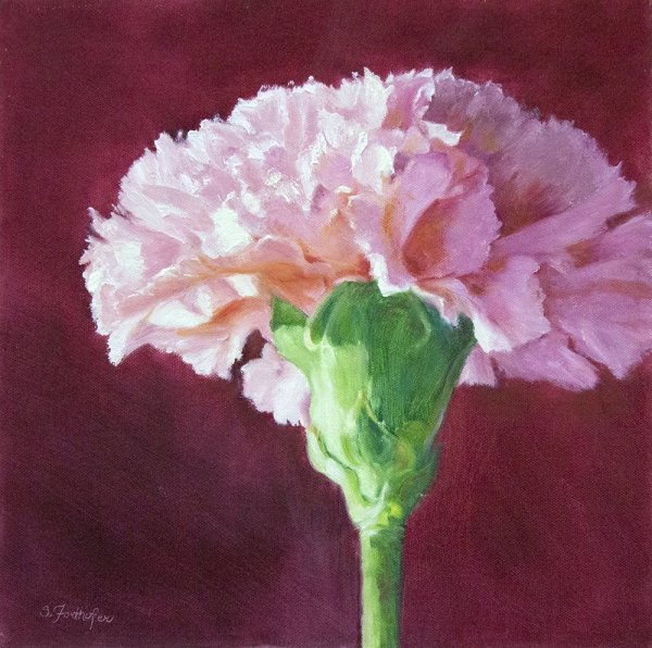 Гвоздика пастель Пинк