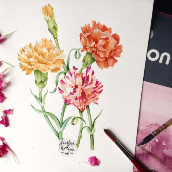 Гвоздики акварелью