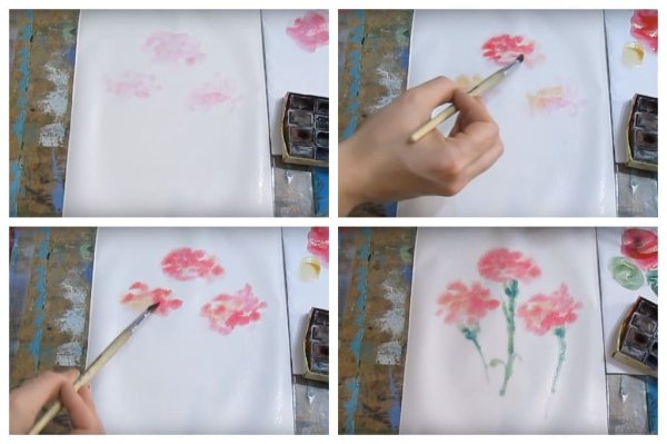 Гвоздики акварелью поэтапно