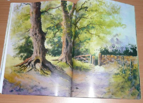 Видеоуроки по рисованию акварелью лес