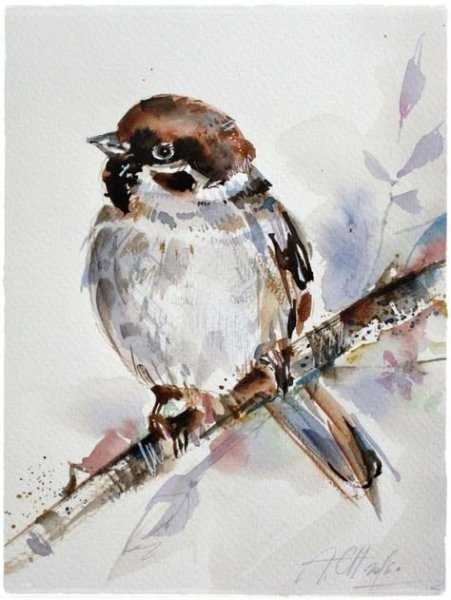 Птицы Башкирии Воробей