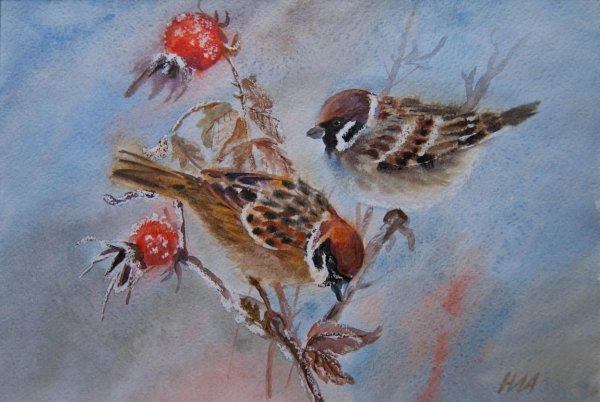 Птицы зимой акварель