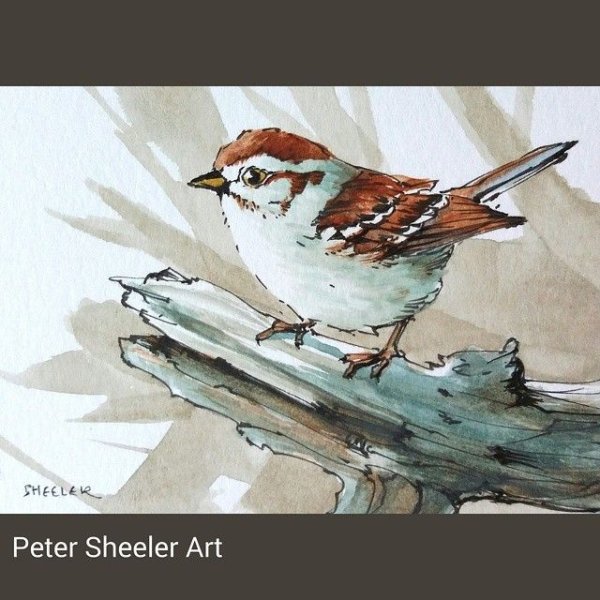 Любовь к родине или путешествие воробья рисунок