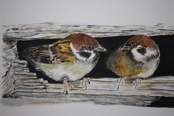 Анастасия Беседина художник акварель зима