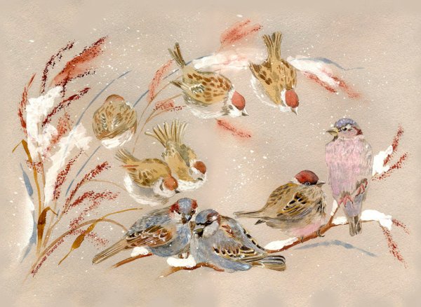 Альбина статных