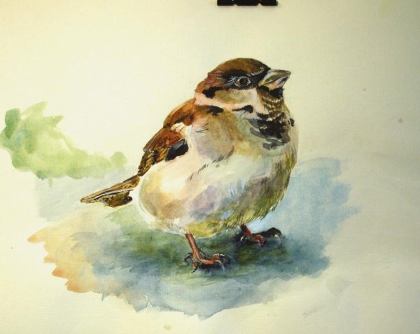 Художник Комаревцев Воробей