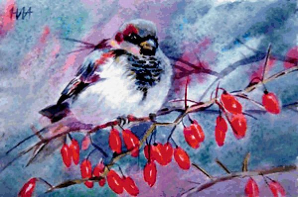 Воробей рисунок акварелью