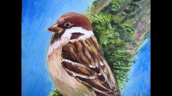 Птицы на вербе рисунок