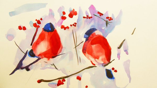 Снегирь акварель