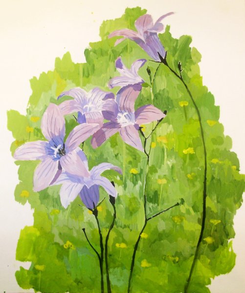 Пленэр акварелью растения