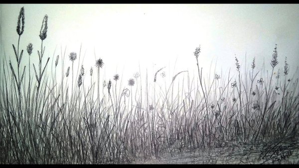 Польская художница mashami