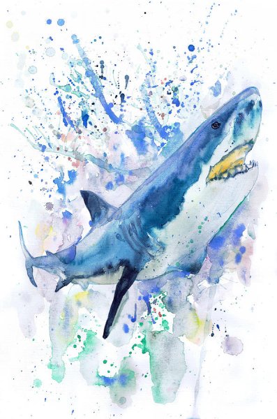 Акула акварелью