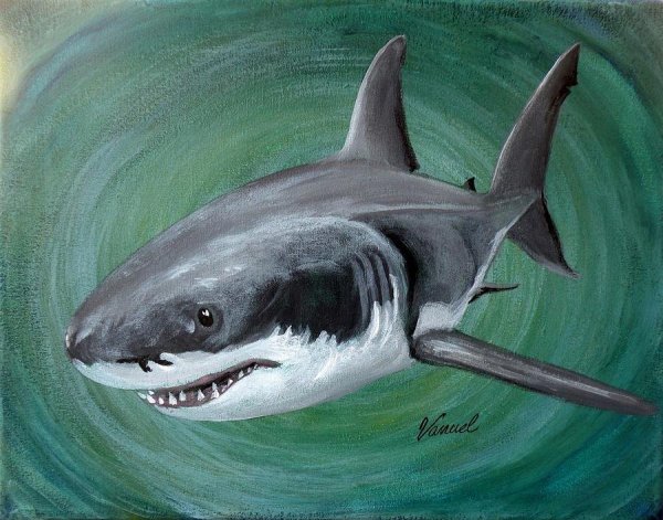 Акула гуашью