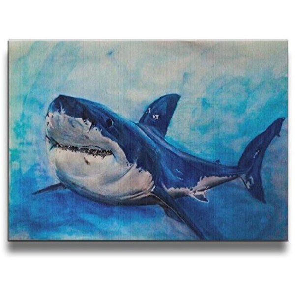 Красивая акула рисунок