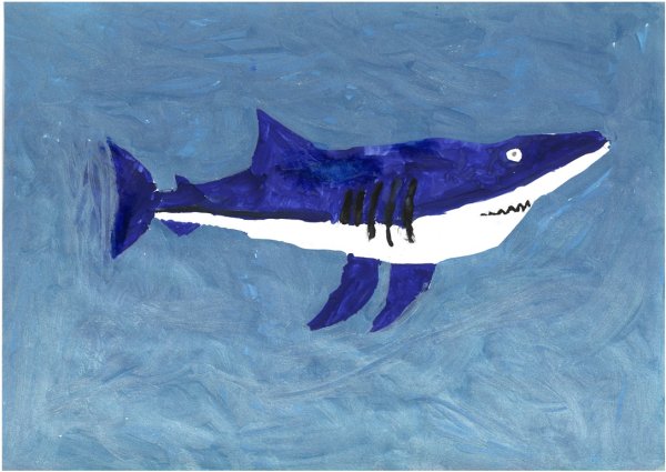 Акула рисунок гуашью