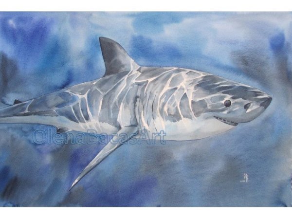 Рыба акула акварелью