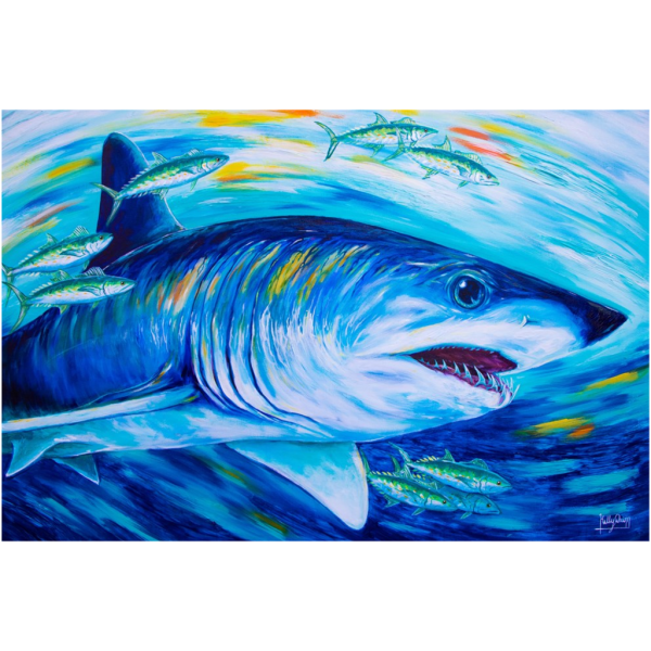 Акула рисунок красками