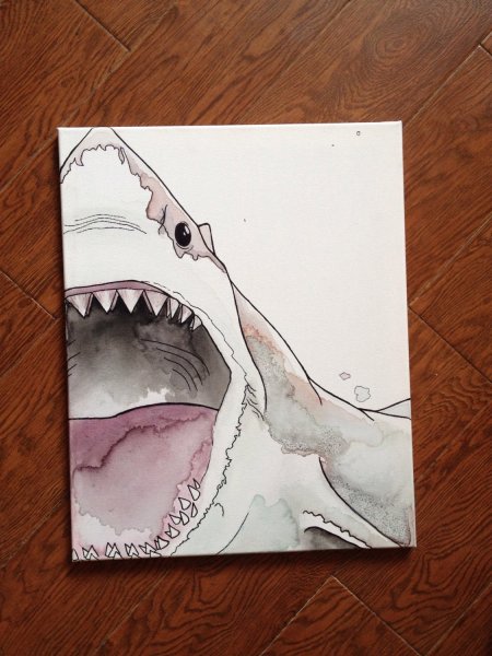 Акула рисовать красками
