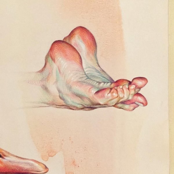 Адара Санчез Ангиано