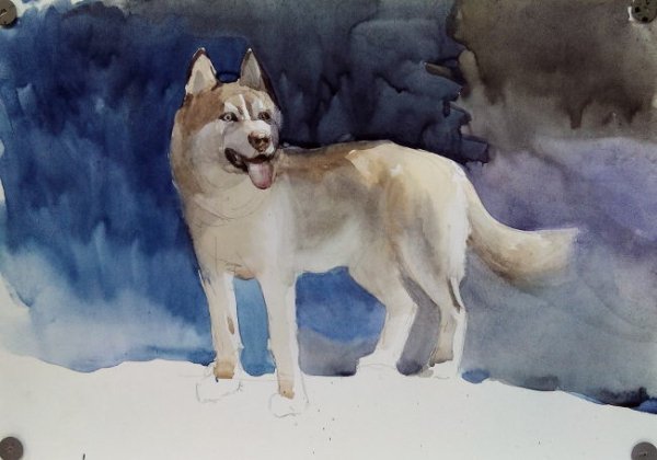 Зимний пейзаж с собакой гуашью