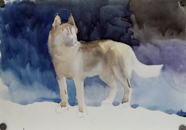 Собака гуашью для детей