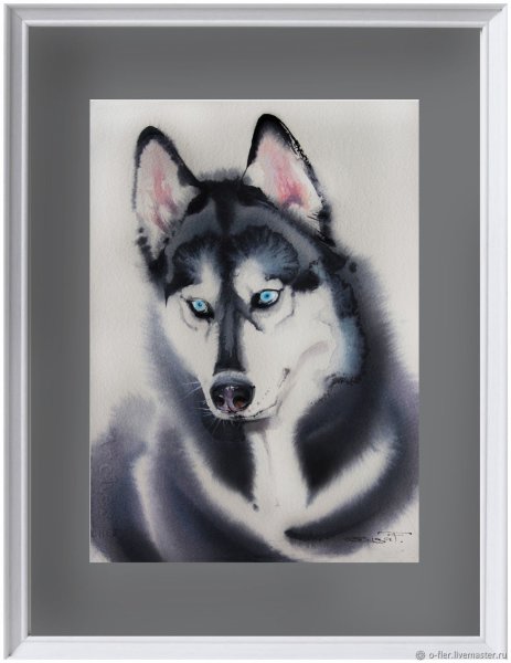 Хаски акварелью