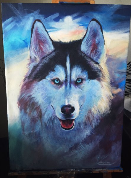 Хаски на холсте