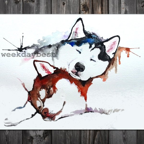 Арт хаски тату