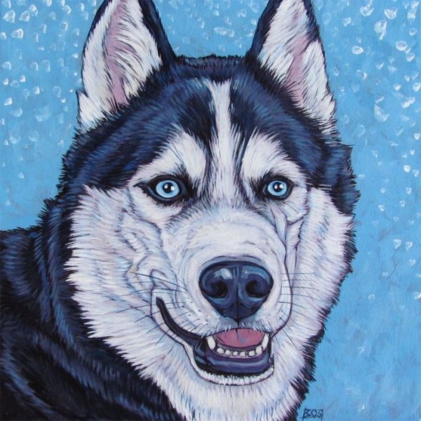 Краска хаски