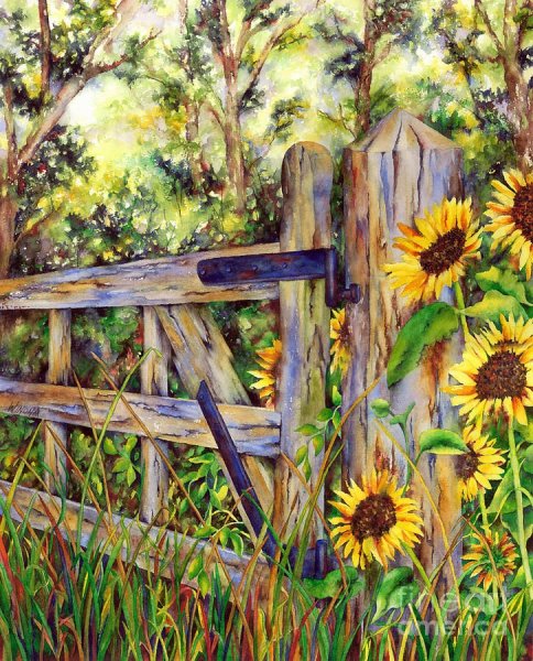 Забор с подсолнухами