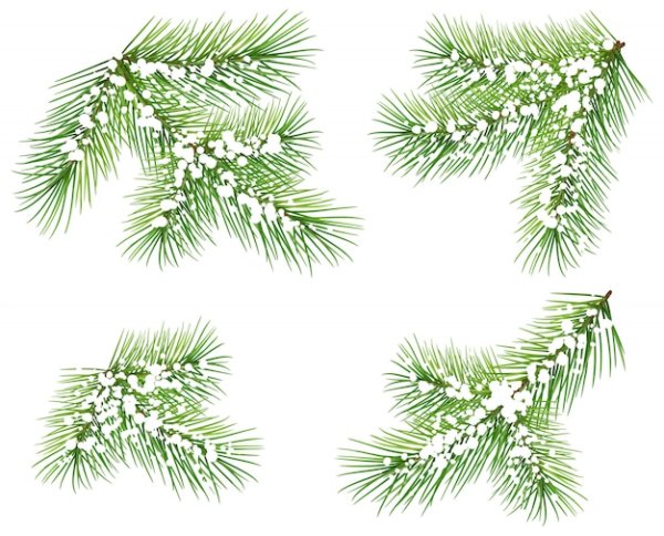 Елочная ветка Снежная для печати