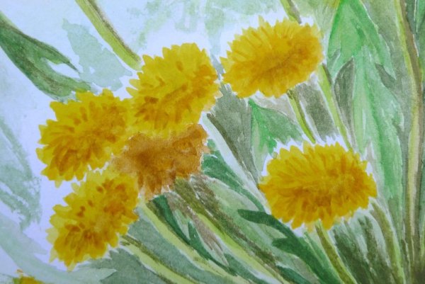 Акварели Frank Koebsch