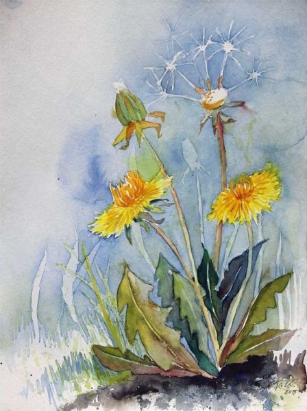 Одуванчиковое поле Моне