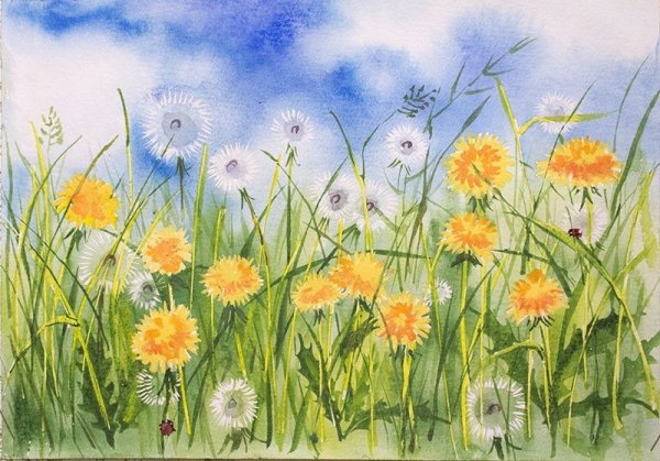 Живопись Ларисса Гамильтон , одуванчики