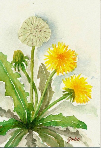 Правополушарное рисование для малышей