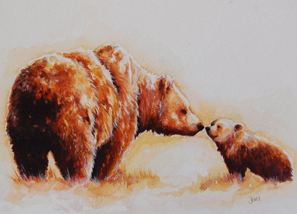 Медведь акварелью