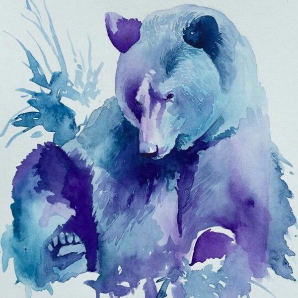 Медведь акварелью