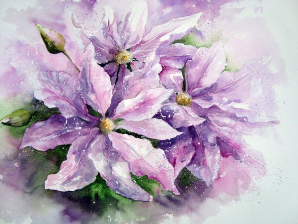 Элизабет Хоскинг акварель