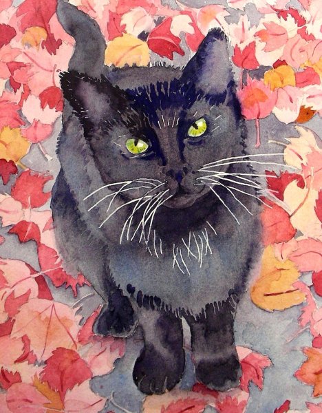 Кошка красками