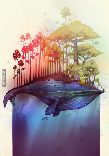 Необычные рисунки