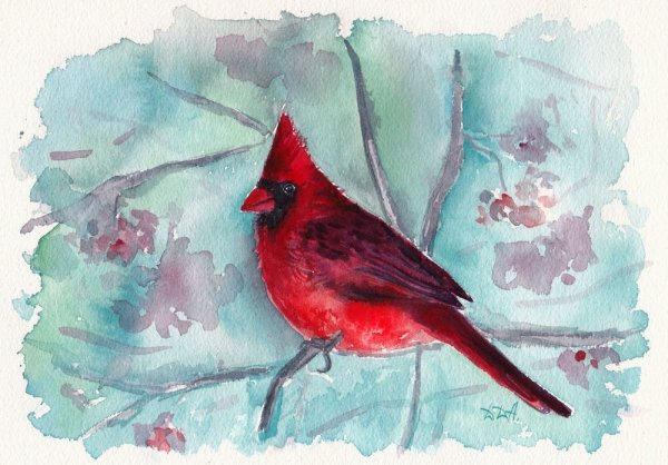 Птицы акварелью для начинающих