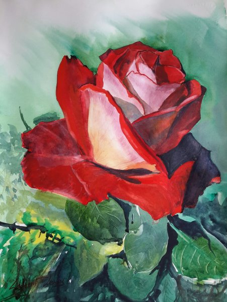 Гуашь живопись розы