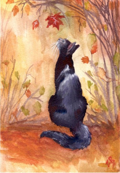 Осенние коты иллюстрации