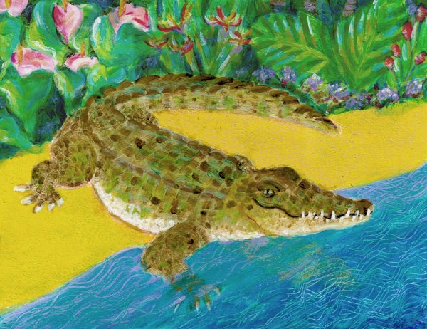 Крокодил картина