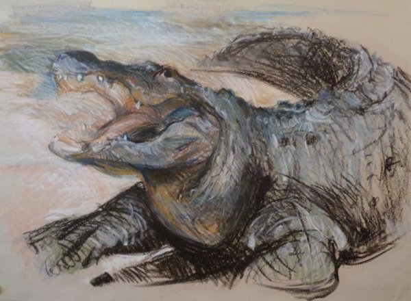 Крокодил картина