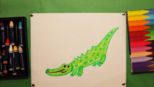 Крокодил рисунок красками