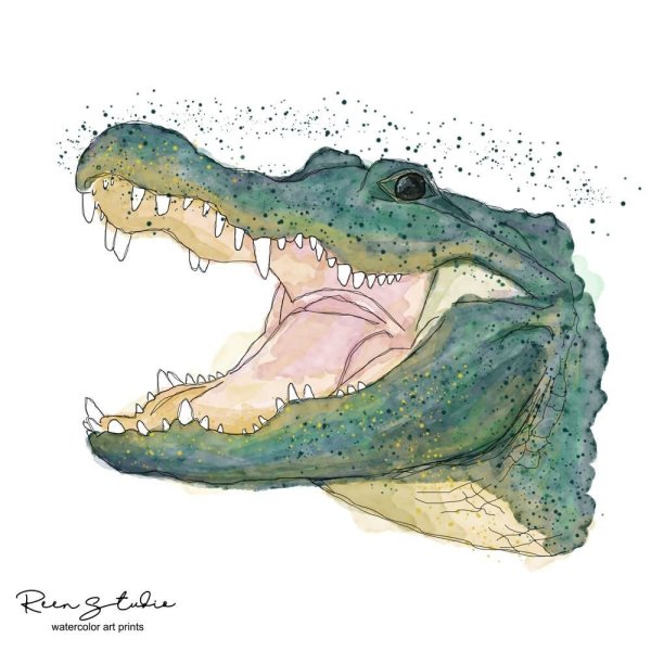 Крокодил картина гуашь