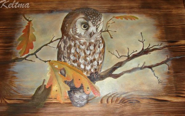 Сова красками на дереве