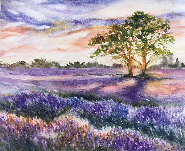 Поле акварелью